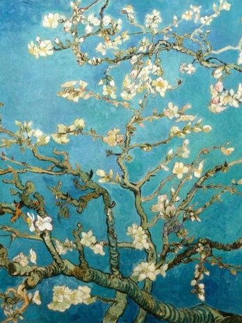Apéro peinture : L&rsquo;Amandier en fleurs de Van Gogh