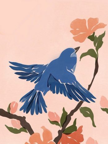Apéro aquarelle : Birds & Flowers