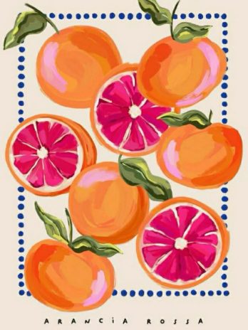 Apéro peinture : Agrumes & Co